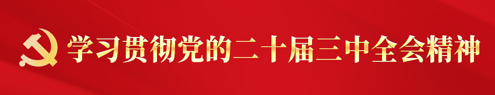 学习贯彻党的二十届三中全会精神