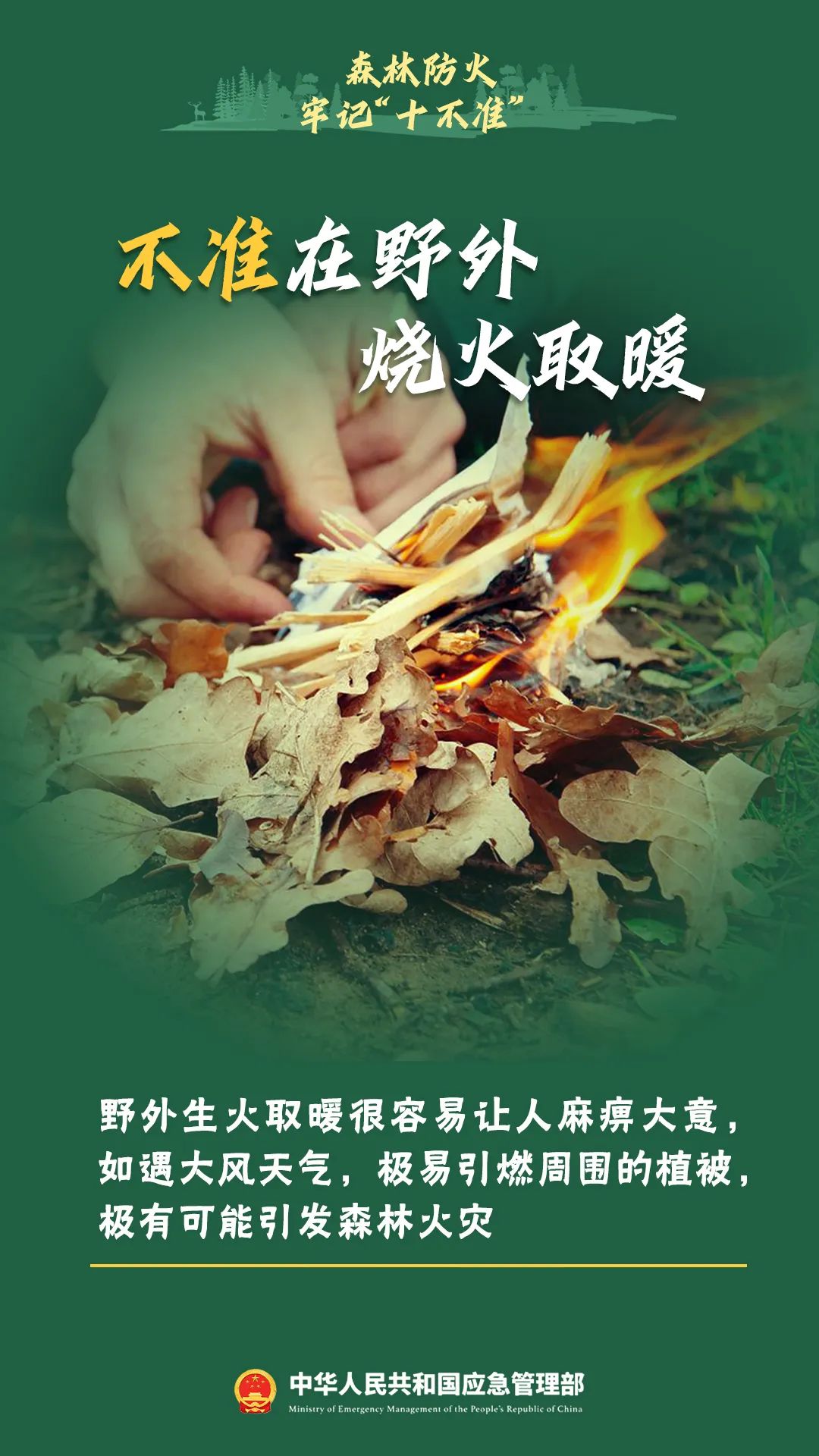 森林防火＂十不准＂，出行游玩请牢记！ - 应急科普- 广西壮族自治区 